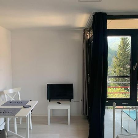 Gemuetliches Einzimmer-Apartment 33 Бад-Вильдбад Экстерьер фото